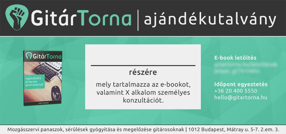 A tökéletes ajándék gitárosoknak ajándék gitárosoknak